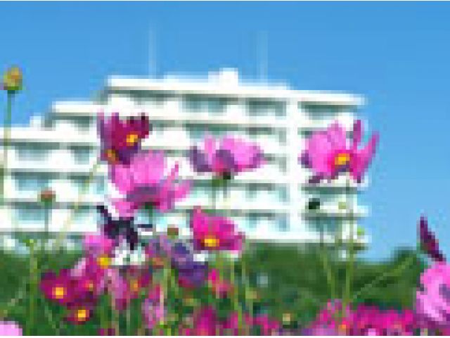医療法人社団青松会 河西田村病院
