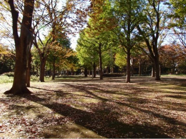 きららっこ石神井公園保育園