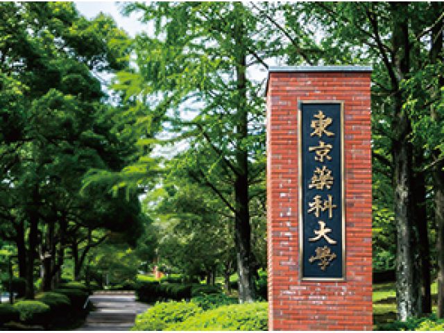 学校法人 東京薬科大学