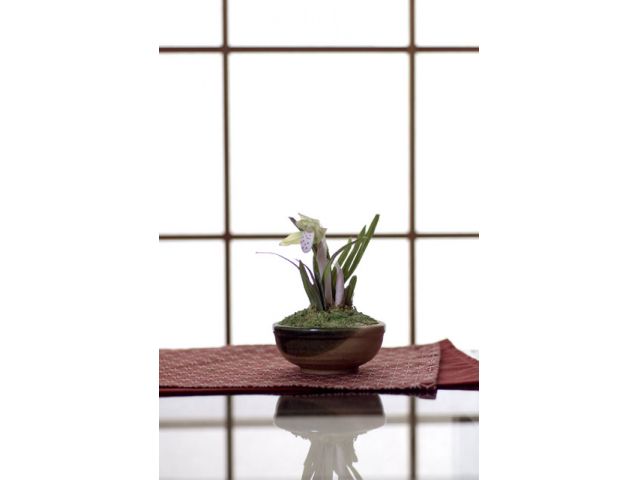 yJlzГo^̕I񂨋Cyɂ⍇B