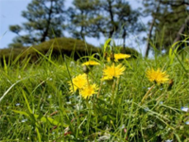 ABC���r���O��l���s