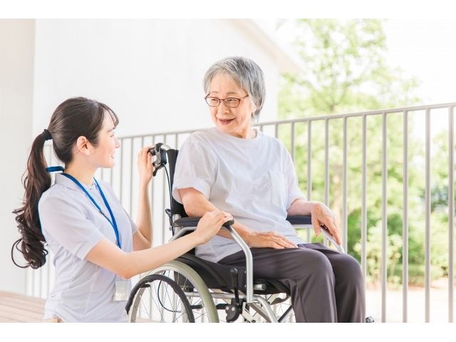 �P�H�s�����w����k��/�����x���������n�r���f�C