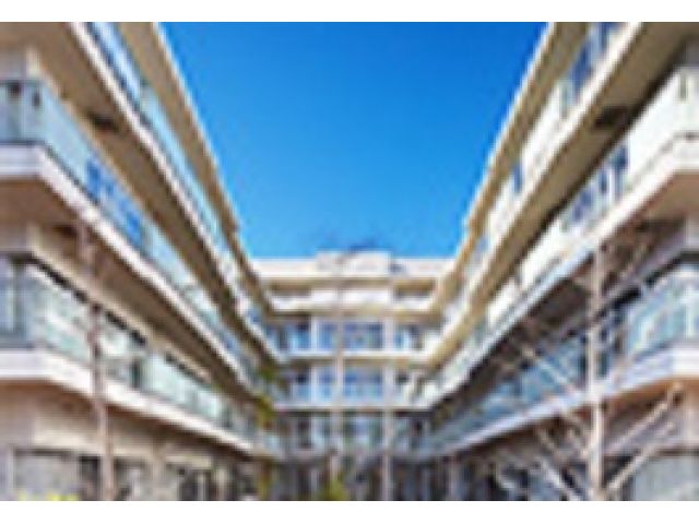 �t�F���I������