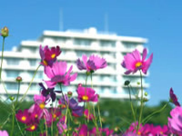 ��{�s���̑����a�@