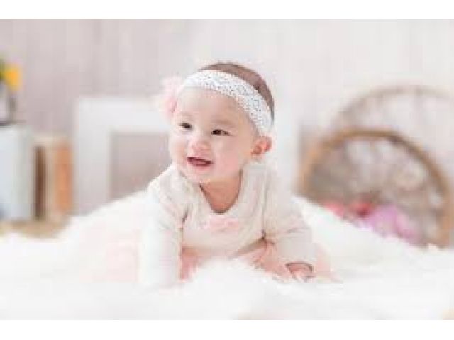 �y�������΁~����2000�~�z���K�͕ۈ牀���ߍ]�����s