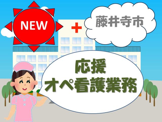 �󏭂ȃI�y���ł̉����i�[�X���l������܂����I