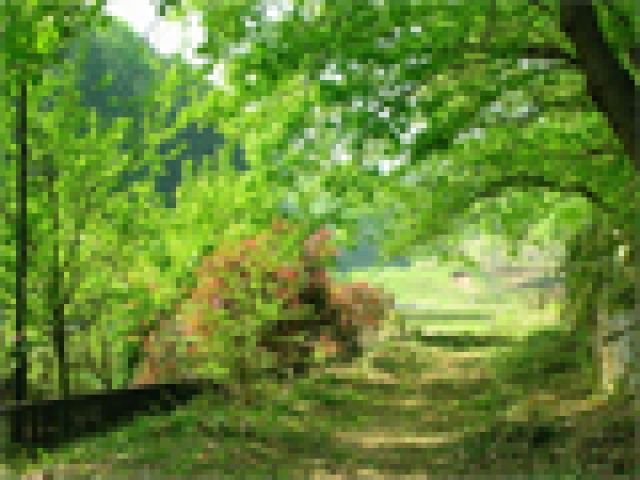 �@���ۈ犮��/�X�^�b�t�蒅����/�n����x����񕜊��a�@