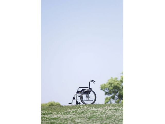 �������܎s�΋�A����Ɨ��̗L���V�l�z�[��